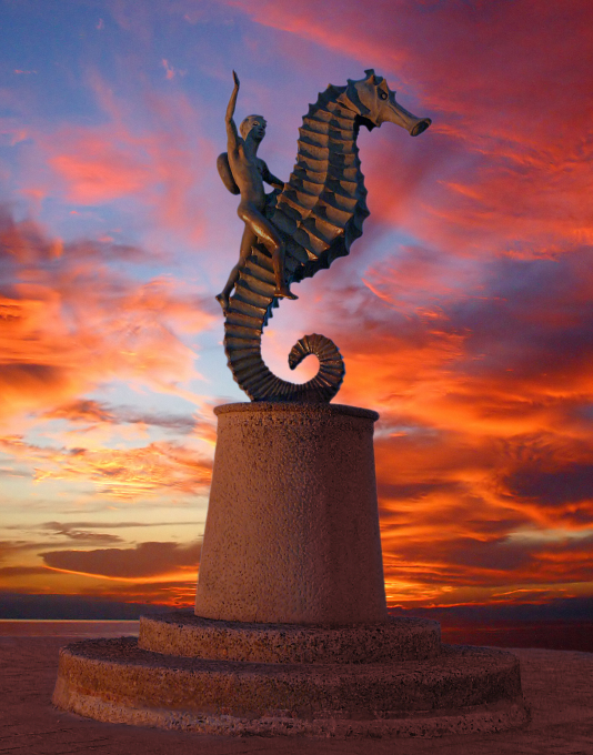 Boy sea horse and sunset